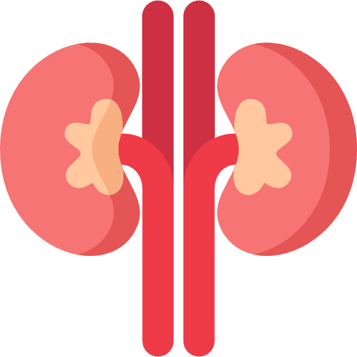Kidney